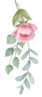 flower-bottom